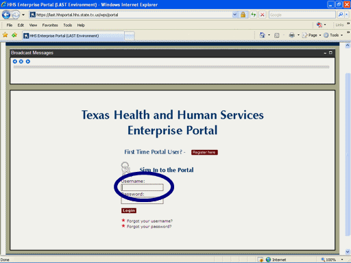 Screenshot of Portal signon page